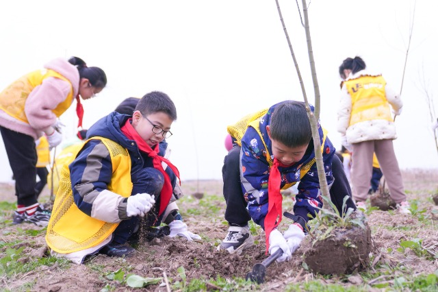 寧波慈溪學子在現(xiàn)代農(nóng)業(yè)生態(tài)產(chǎn)業(yè)園植樹 慈溪市學生成長指導中心供圖.jpg